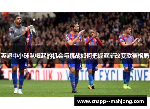 英超中小球队崛起的机会与挑战如何把握逐渐改变联赛格局