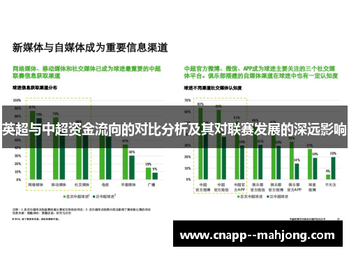 英超与中超资金流向的对比分析及其对联赛发展的深远影响