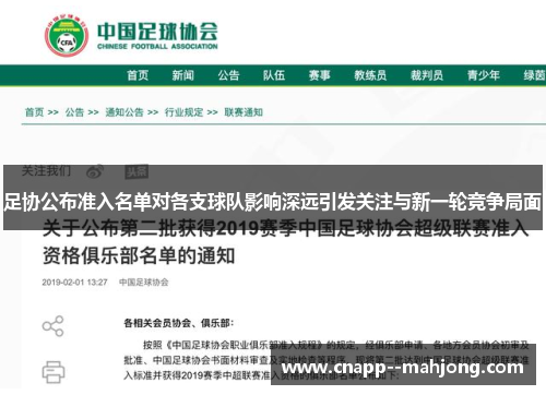 足协公布准入名单对各支球队影响深远引发关注与新一轮竞争局面