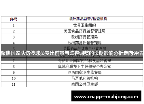 聚焦国家队伤停球员复出前景与阵容调整的长期影响分析走向评估