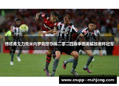 博塔弗戈力克米内罗竞技夺得二零二四赛季南美解放者杯冠军 博塔弗戈力克米内罗竞技夺得二零二四赛季南美解放者杯冠军